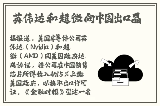 AV每日更新 在线观看
